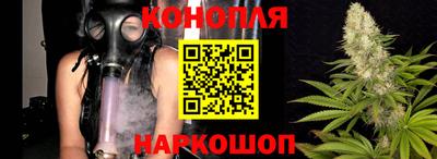 спайс Будённовск