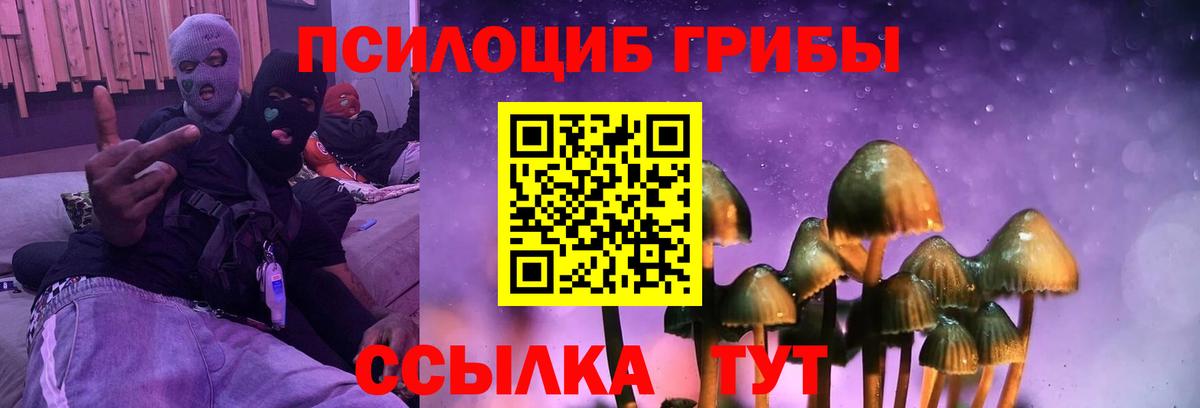 Нарьян-Мар  Галлюциногенные грибы ЛСД  Вход с VPN 